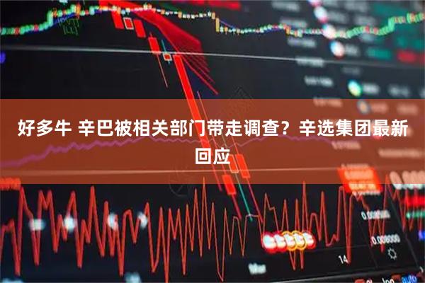 好多牛 辛巴被相关部门带走调查？辛选集团最新回应