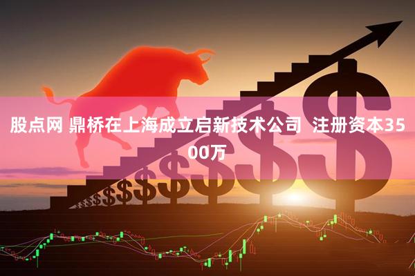 股点网 鼎桥在上海成立启新技术公司  注册资本3500万