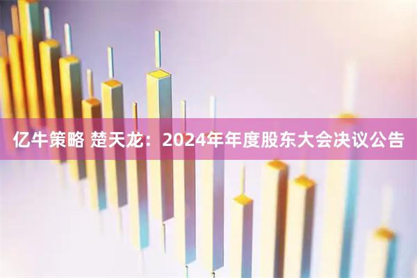 亿牛策略 楚天龙：2024年年度股东大会决议公告