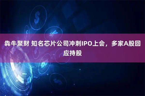 犇牛聚财 知名芯片公司冲刺IPO上会，多家A股回应持股