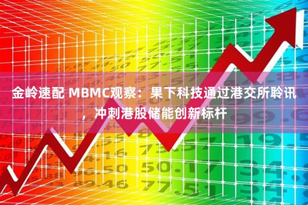 金岭速配 MBMC观察：果下科技通过港交所聆讯，冲刺港股储能创新标杆