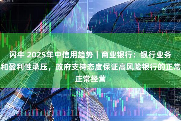 闪牛 2025年中信用趋势｜商业银行：银行业务增长和盈利性承压，政府支持态度保证高风险银行的正常经营